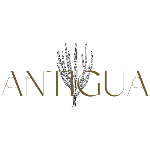 Antigua Lifestyle Boutique